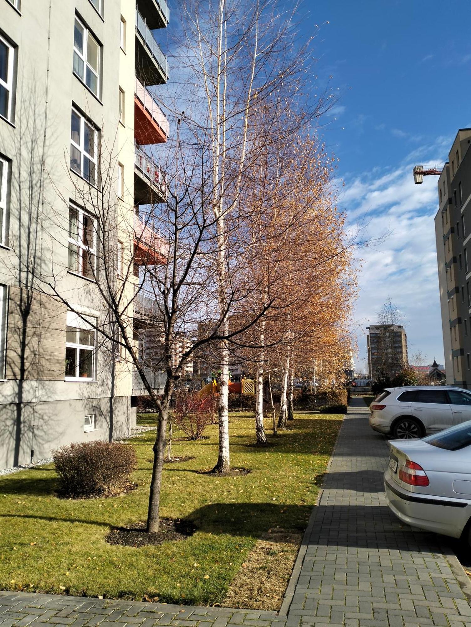 M&I Dream Stay Брашов Екстериор снимка
